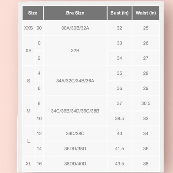 NWOT Wild Fable Women's Underwire Striped Bikini Swim Top S 4-6 - Picture 2 of 2